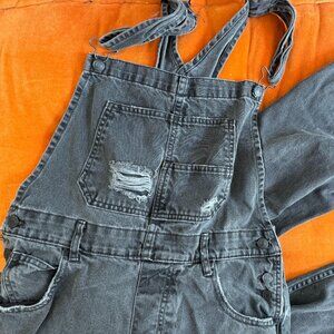 Free People We The Free Ziggy Denim Overalls Size S